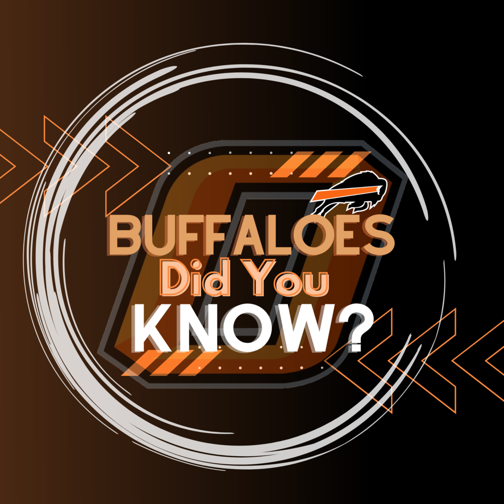 Buffaloes, Did You  Know?